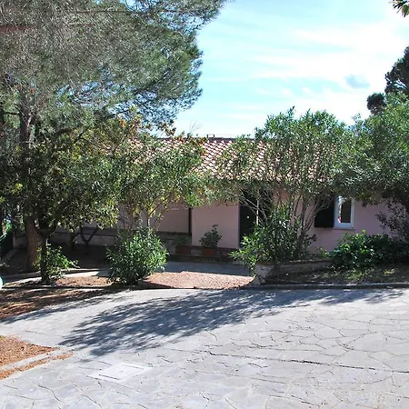 Cicala * Marciana (Isola d'Elba)