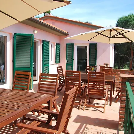 Cicala * Marciana (Isola d'Elba)