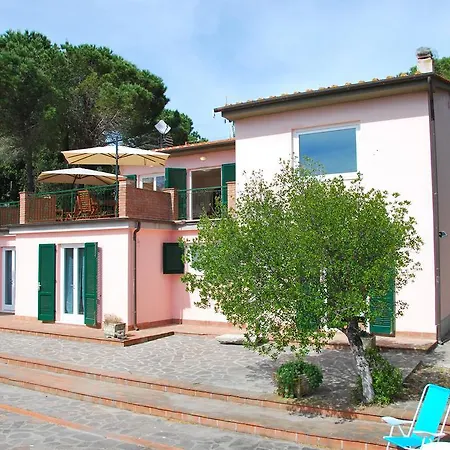 Cicala Villa Marciana (Isola d'Elba)