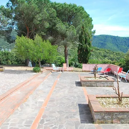 Cicala Marciana (Isola d'Elba)