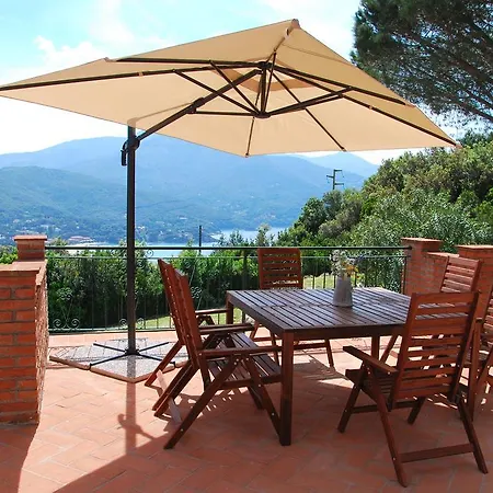 Cicala Villa Marciana (Isola d'Elba)
