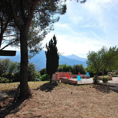 Cicala * Marciana (Isola d'Elba)