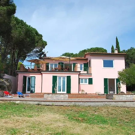 Cicala Villa Marciana (Isola d'Elba)